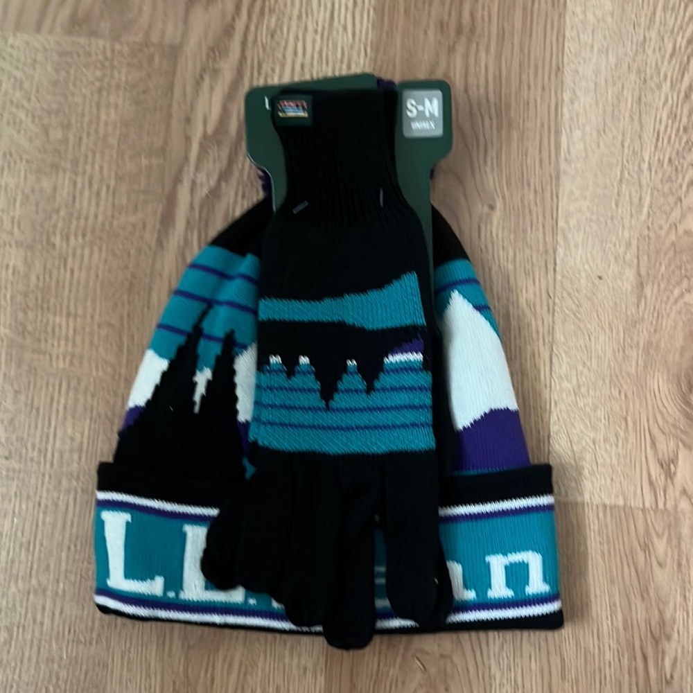 NWT LL Bean unisex winter hat and glove set. In perfect condition!